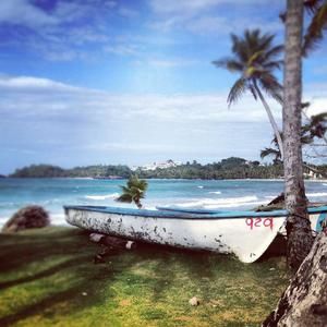 Meet your Posher, Frances